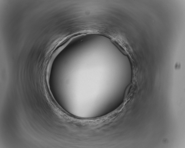 X0000096730001200802051452