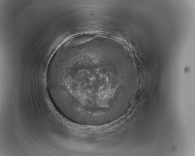 X0000096730002200802051452