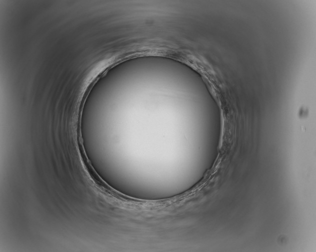 X0000096730003200802051452
