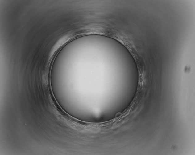 X0000096730004200802051452