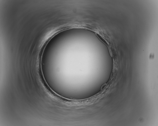 X0000096730005200802051452