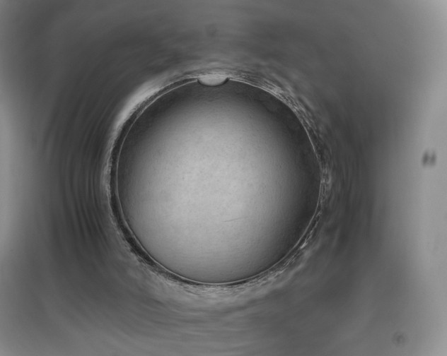 X0000096730006200802051452