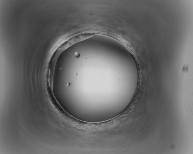 X0000096730007200802051452
