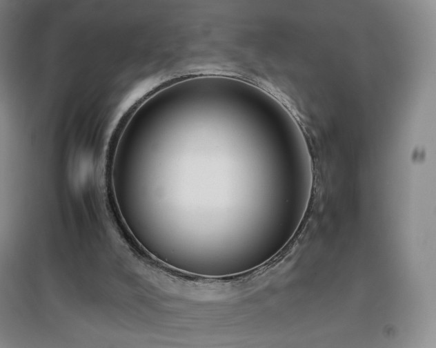X0000096730008200802051451