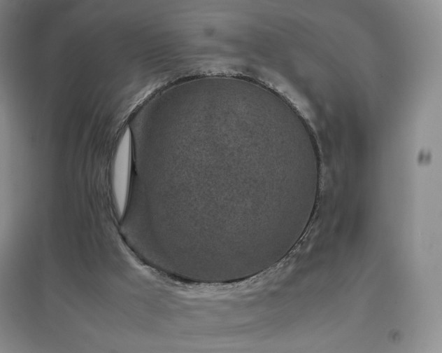 X0000096730009200802051451