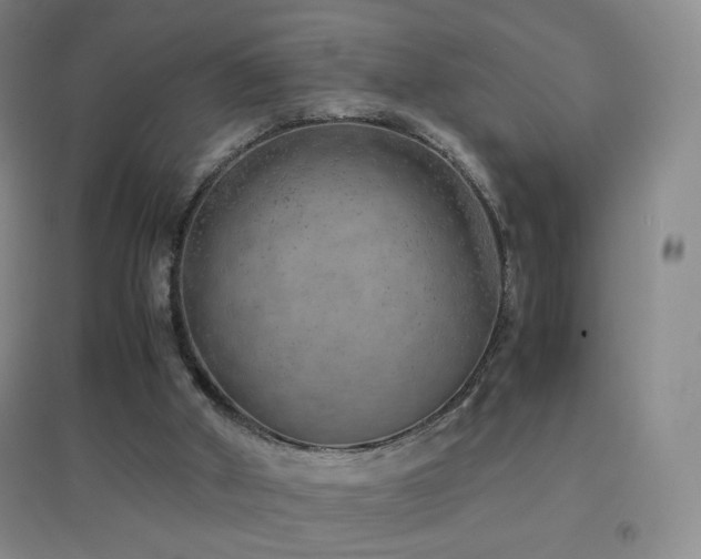 X0000096730010200802051451