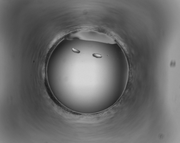 X0000096730011200802051451