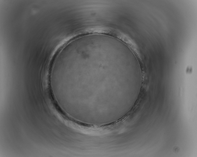 X0000096730012200802051451