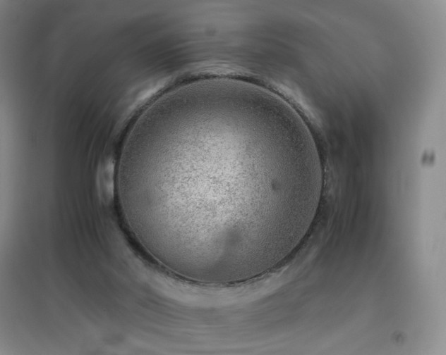 X0000096730014200802051451