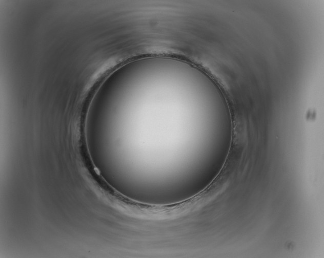 X0000096730015200802051451