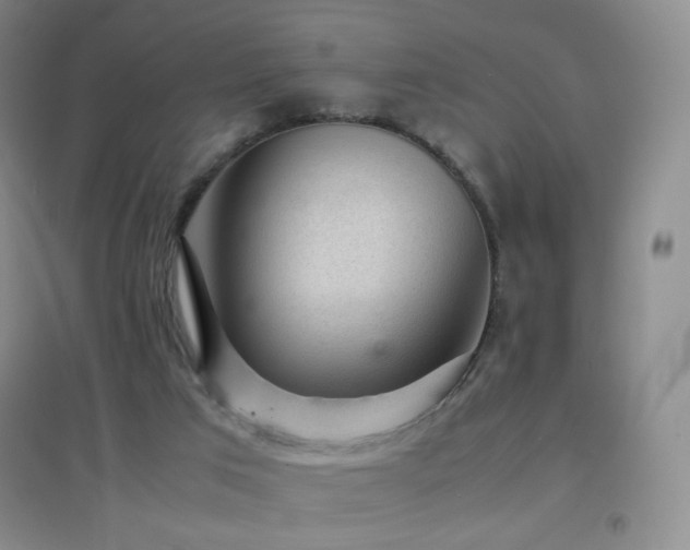 X0000096730017200802051451