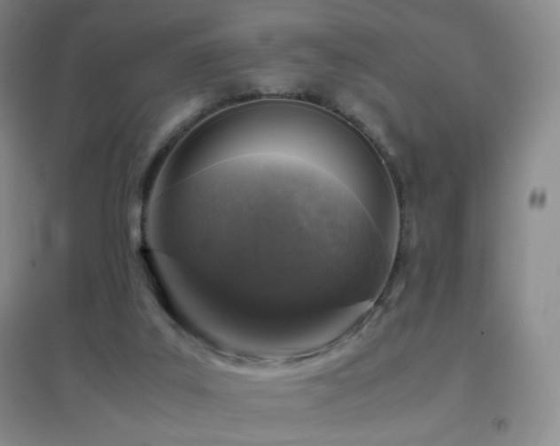X0000096730019200802051451