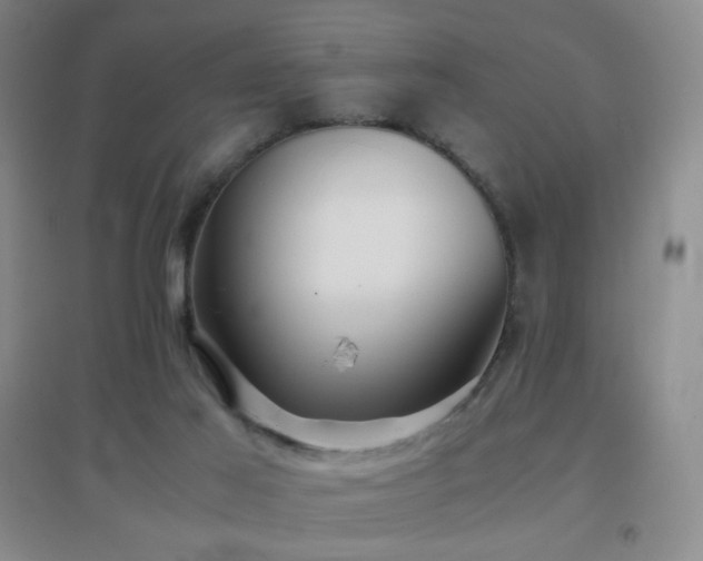 X0000096730021200802051451
