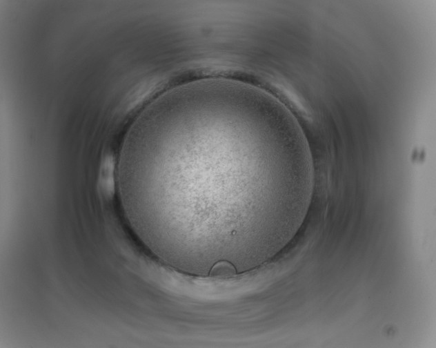 X0000096730022200802051451
