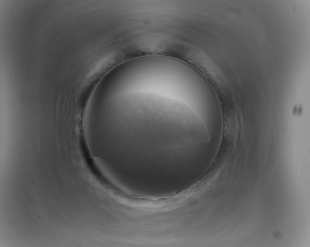 X0000096730023200802051451