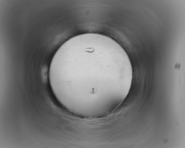 X0000096730024200802051451