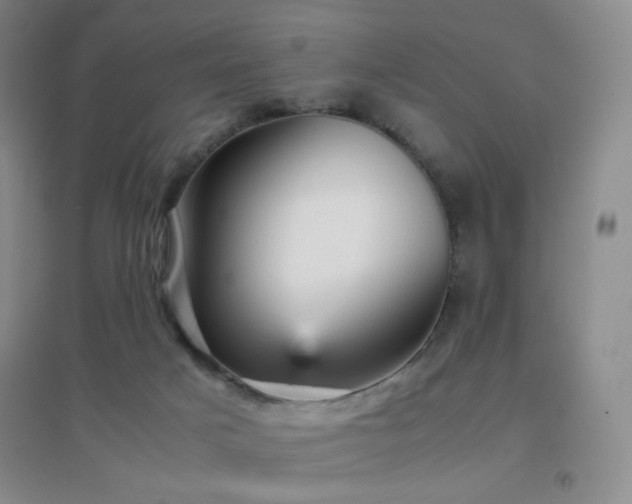 X0000096730025200802051451