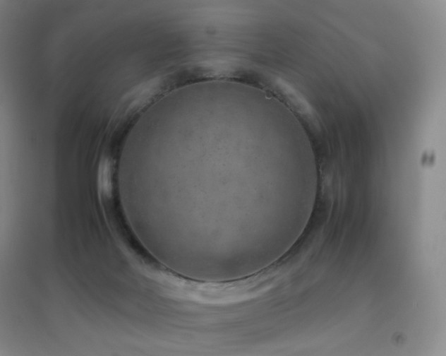 X0000096730026200802051451