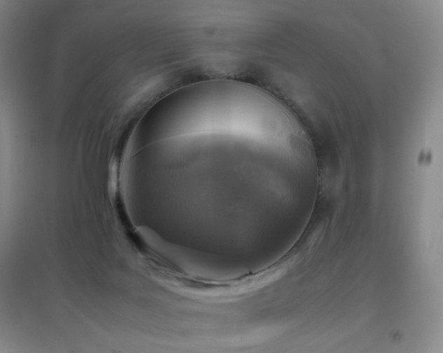 X0000096730027200802051451