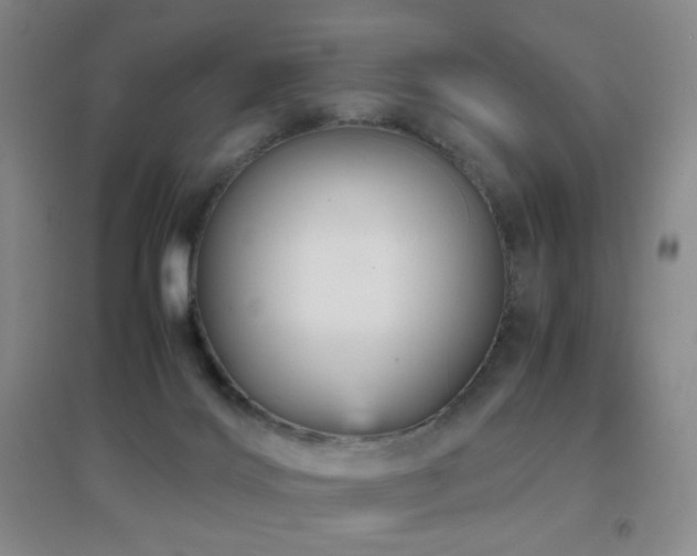 X0000096730028200802051451