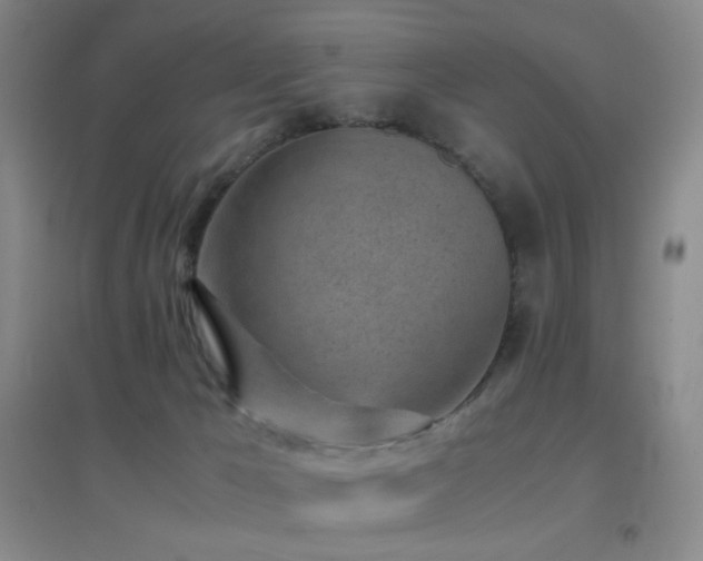 X0000096730029200802051451