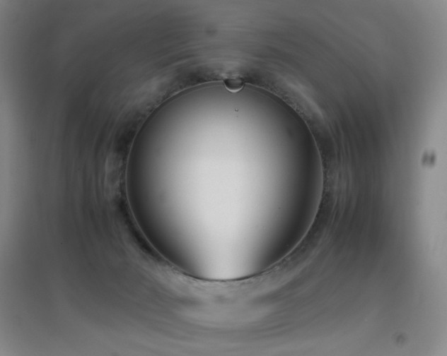 X0000096730030200802051451