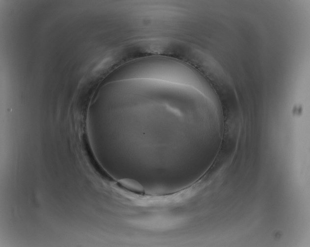 X0000096730031200802051451