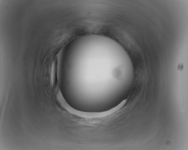X0000096730033200802051451
