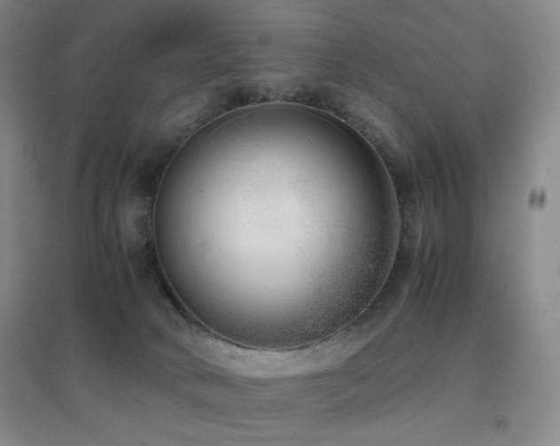 X0000096730034200802051451