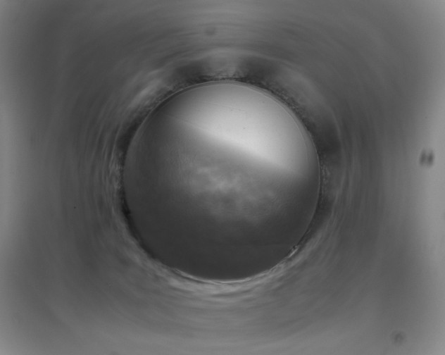 X0000096730035200802051451