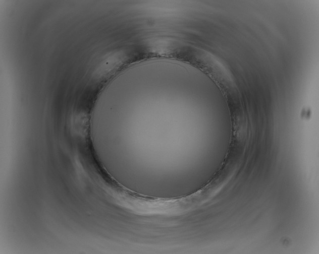 X0000096730036200802051451