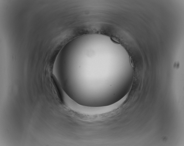 X0000096730037200802051451