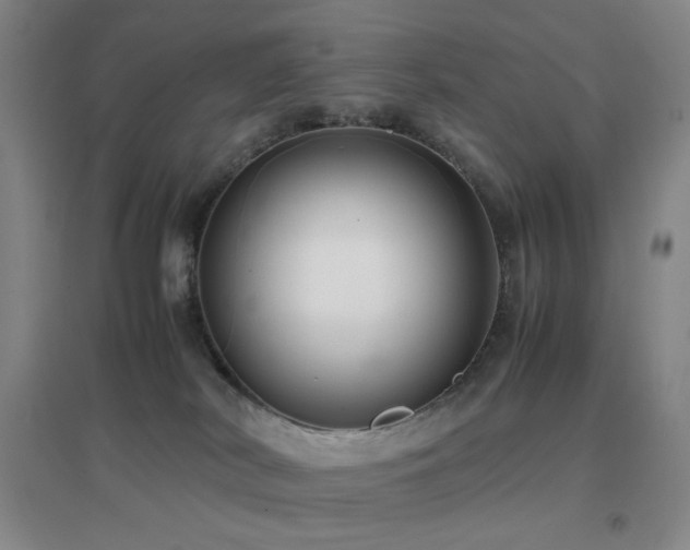 X0000096730038200802051451