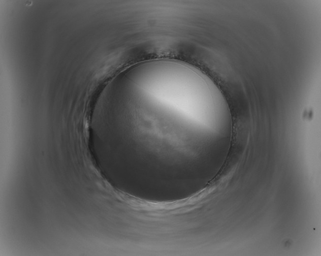X0000096730039200802051451