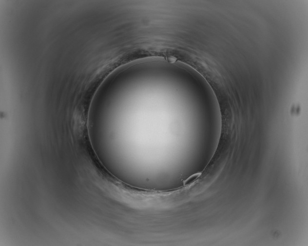 X0000096730040200802051451