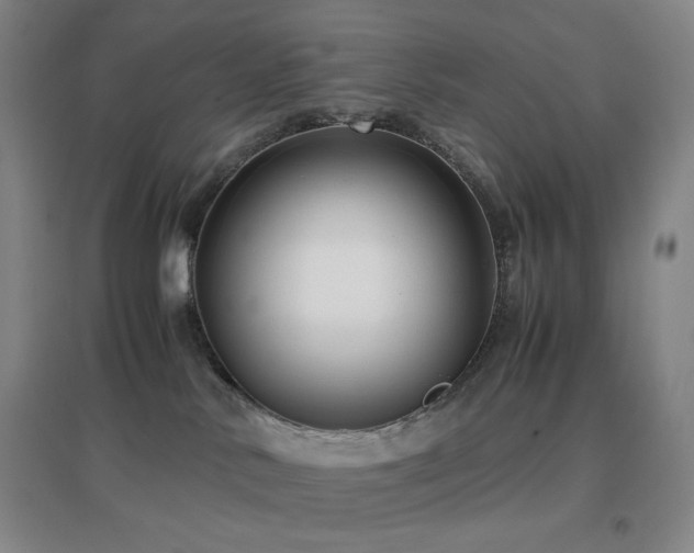 X0000096730042200802051451