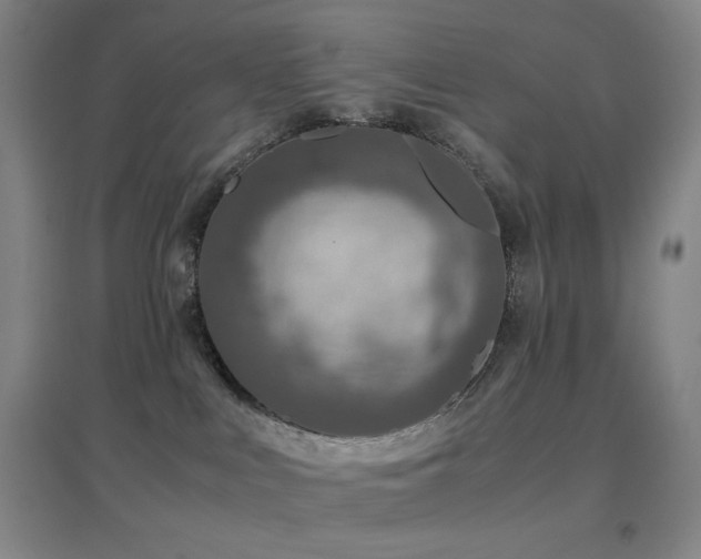 X0000096730043200802051451