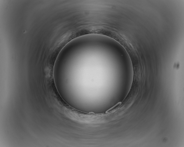 X0000096730044200802051451