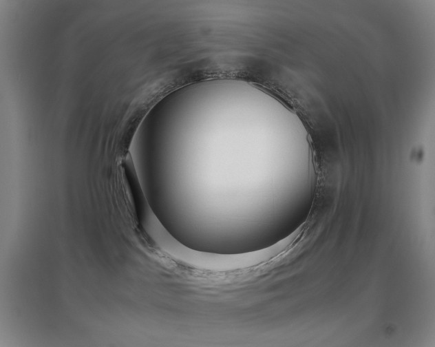 X0000096730045200802051451