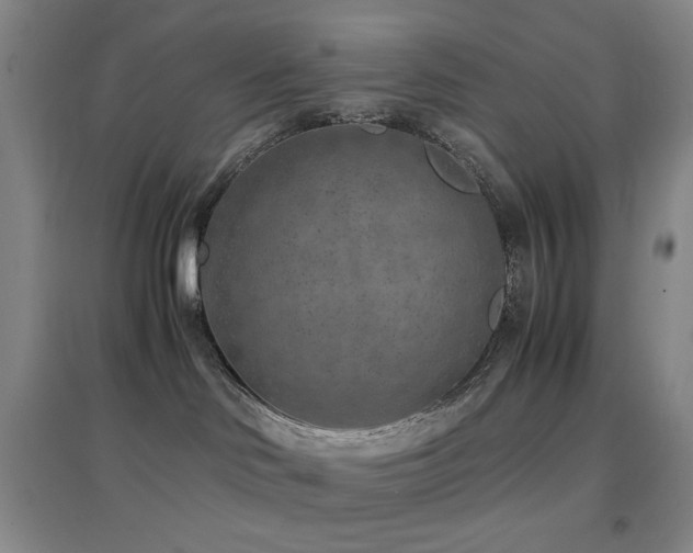 X0000096730046200802051451
