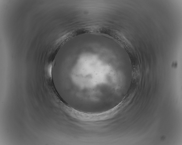 X0000096730047200802051451