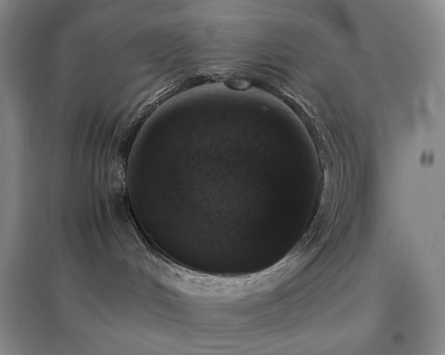 X0000096730048200802051451