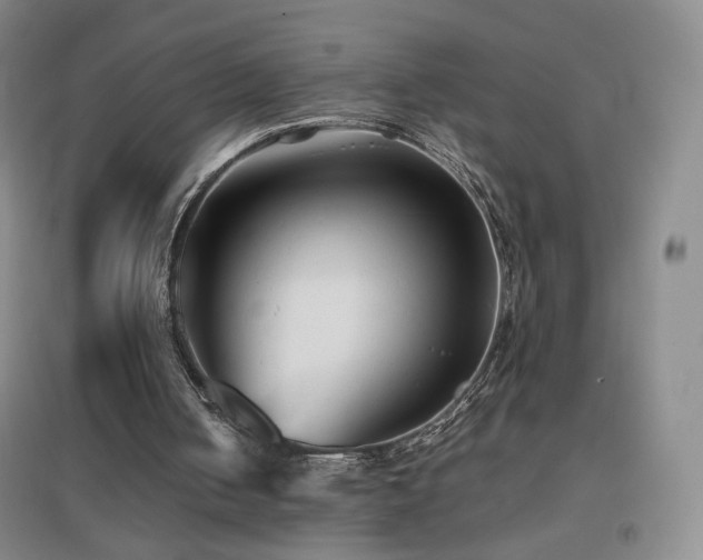 X0000096730050200802051450