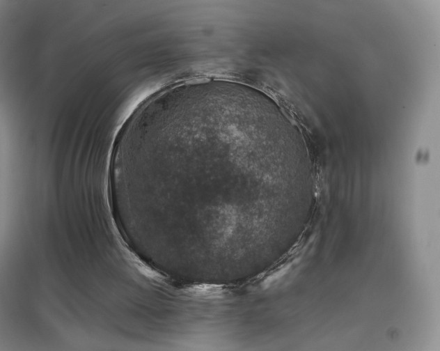 X0000096730052200802051450