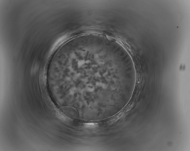 X0000096730053200802051450