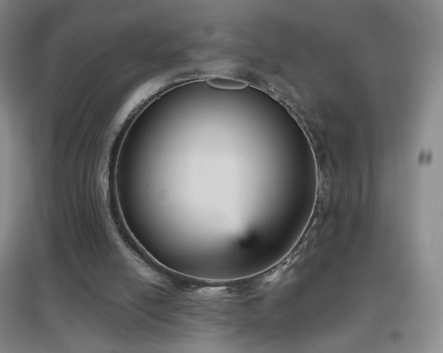 X0000096730054200802051450