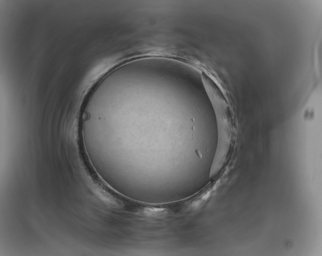 X0000096730055200802051450