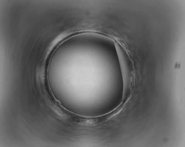 X0000096730056200802051450