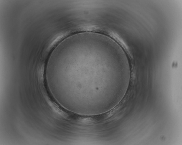 X0000096730058200802051450