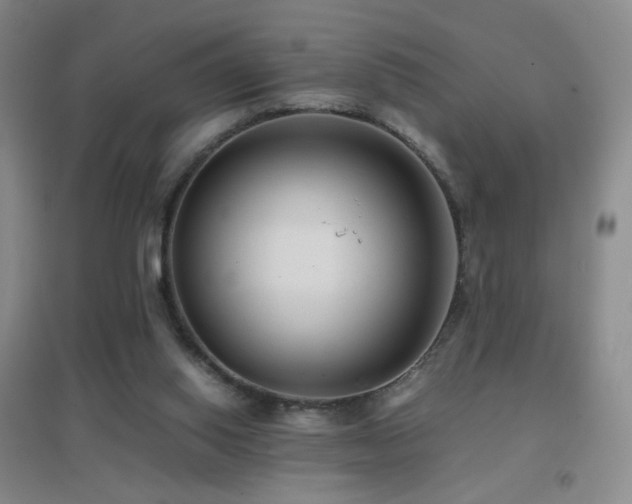 X0000096730062200802051450